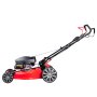 Газонокосилка бензиновая самоходная с двигателем FUBAG Honda FPL 56 SMH в Тольятти фото